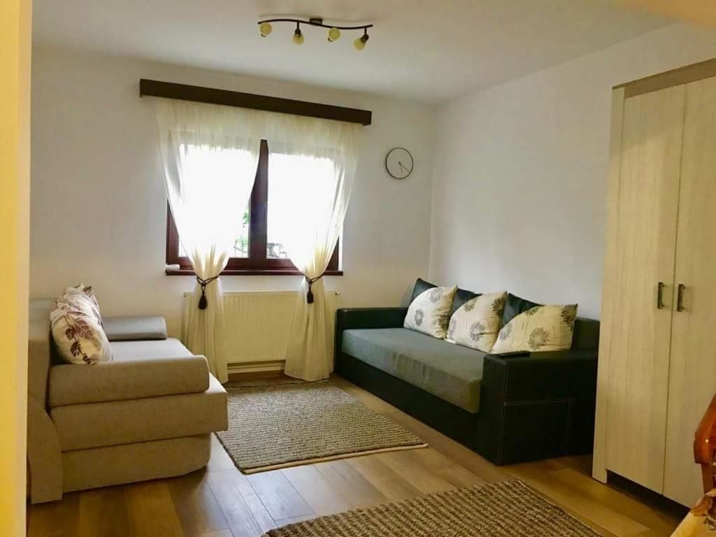 Дома для отпуска Casa Bunicii Sinaia Синая-5